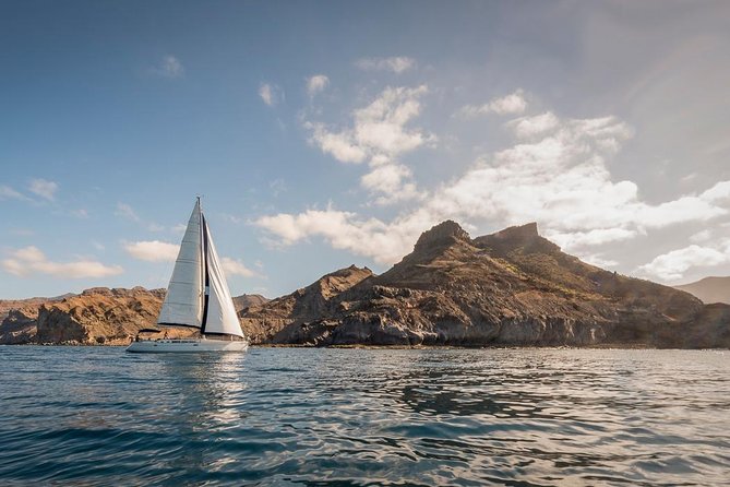 Sailing Trip and Snorkeling at Puerto de Mogan - Stops at Secluded Bays for Swimming and Snorkeling
