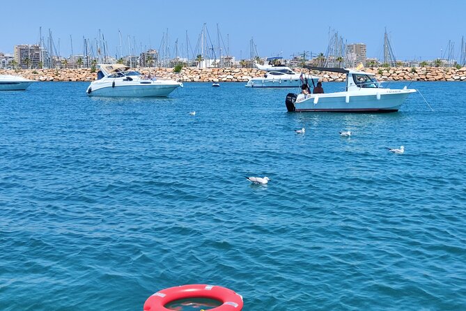 Sailing with sunset and swimming in the sea - The Crew: Friendly, Professional, and Engaging