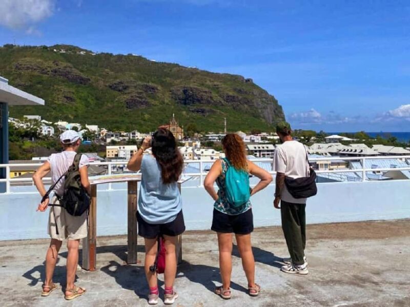 Saint-Denis: Guided Tour of Local History and Architecture - The Green Finale at Jardin de l’État