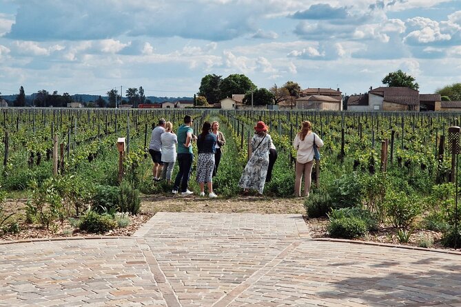 Saint-Emilion Afternoon Tour - 2 Wineries, tastings & delicacies - Bordeauxs Wine Secrets Unveiled at a Grand Cru Winery