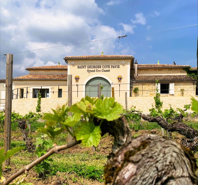 Saint-Émilion: Bordeaux Vineyard Tour and Wine Tasting - Who Will Appreciate This Bordeaux Vineyard Tour
