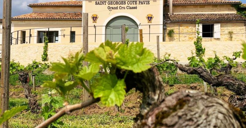 Saint-Émilion: Bordeaux Vineyard Tour and Wine Tasting - The Unique Appeal of Château Saint-Georges Côte Pavie