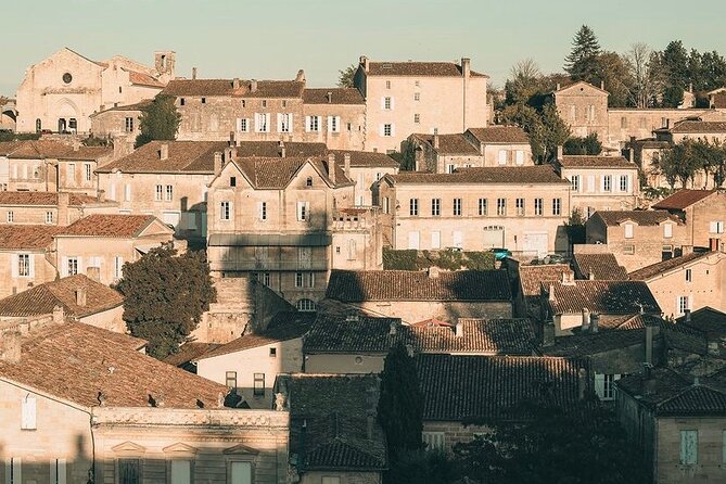 Saint Emilion Castle and Village Wine Tour - From Bordeaux to the Heart of Saint Emilion’s Vineyards