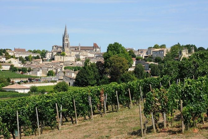 Saint-Émilion day tour: village visit, Châteaux and lunch - The Château Visits and Tasting Experience