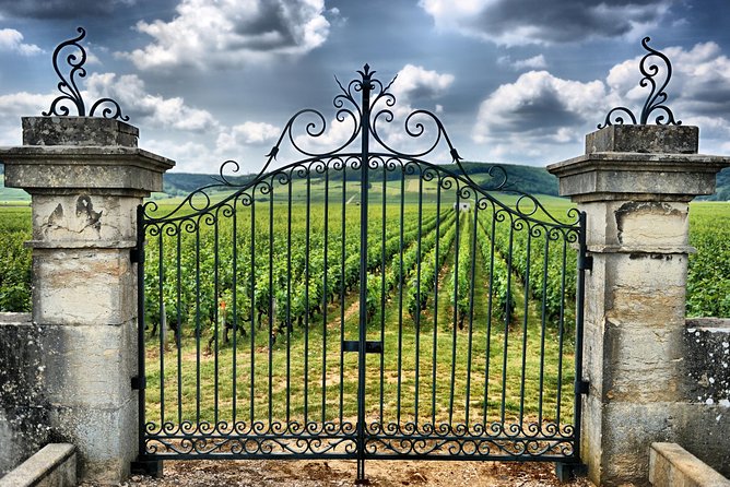 Saint Emilion Day Trip with Sightseeing Tour & Wine Tastings from Bordeaux - The Pacing and Group Experience