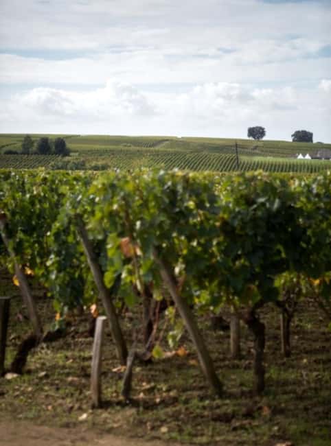 Saint-Emilion: E-Bike Rental - Comparing to Other Wine and Village Tours