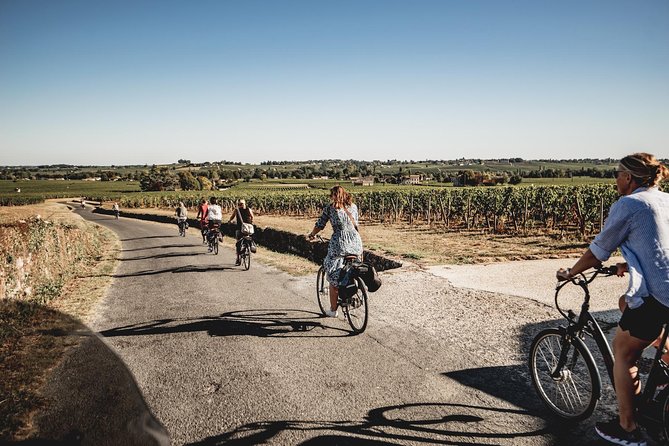 Saint-Emilion Electric Bike Day Tour with Wine Tastings & Lunch - Wine Tasting at Two Family-Run Châteaux