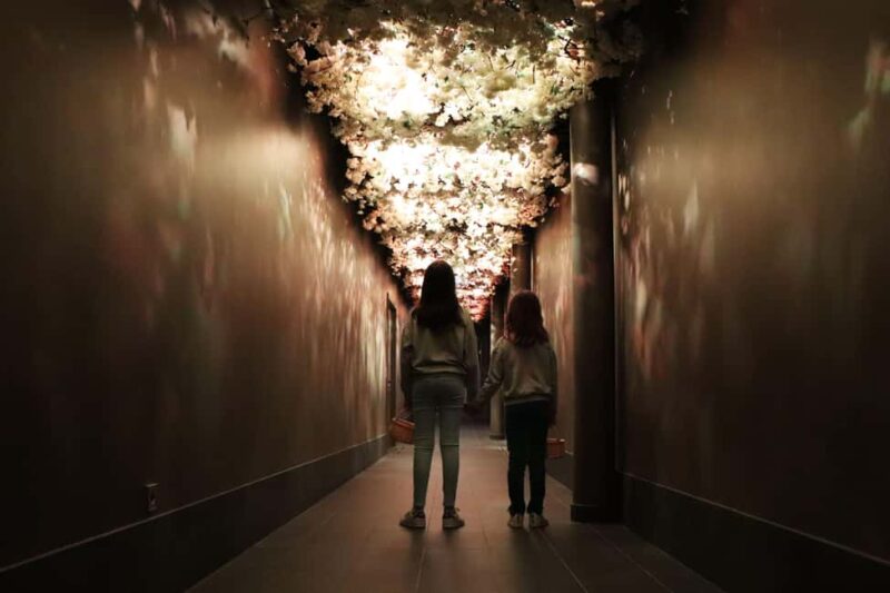 Saint Emilion: Family tour of the Maison Cardinale and tasting of three wines - Key Points