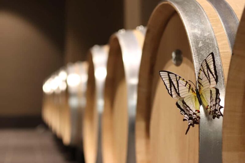 Saint Emilion: Family tour of the Maison Cardinale and tasting of three wines - Discovering La Maison Cardinale in Saint Emilion