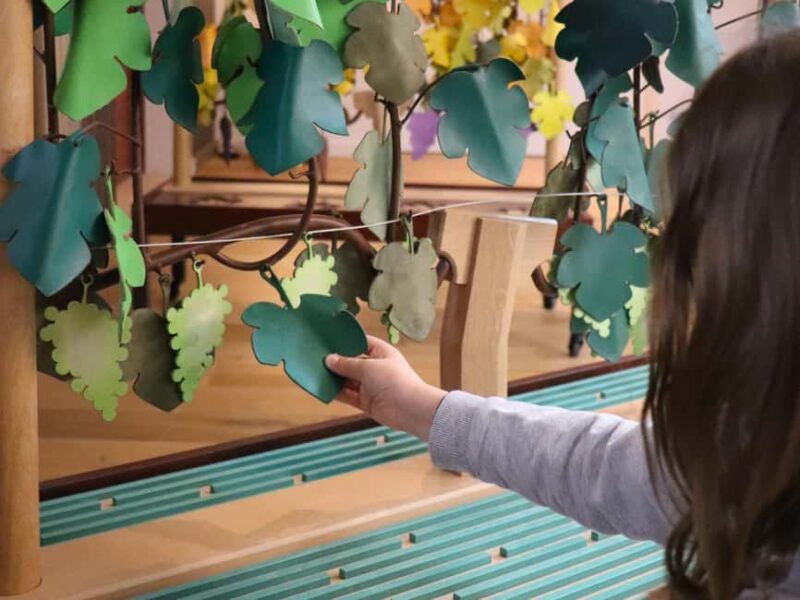 Saint Emilion: Family tour of the Maison Cardinale and tasting of three wines - The Butterfly Hunt in the Barrel Cellar