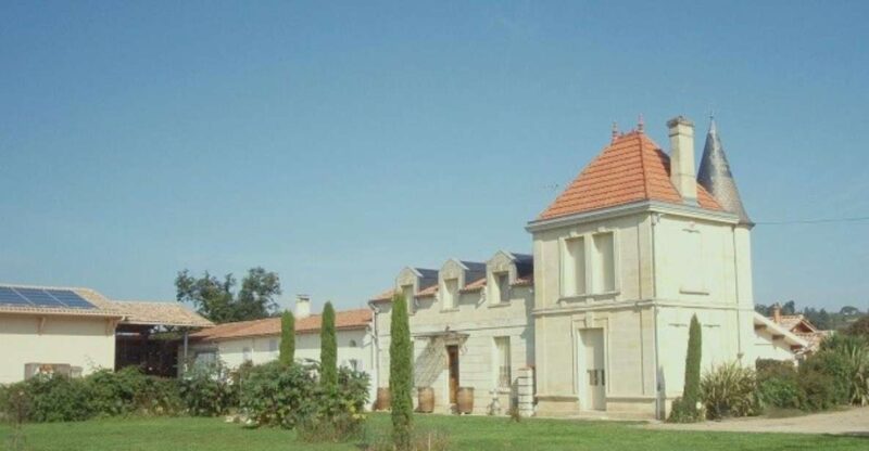 Saint-Émilion: Family Vineyard Visit with Wine Tasting - Exploring the Vineyards and Grape Varieties