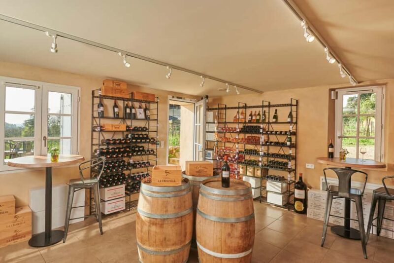 Saint-Emilion: Grand Cru Classé Cheese & Charcuterie Visit - The Guided Tasting of Three Wines