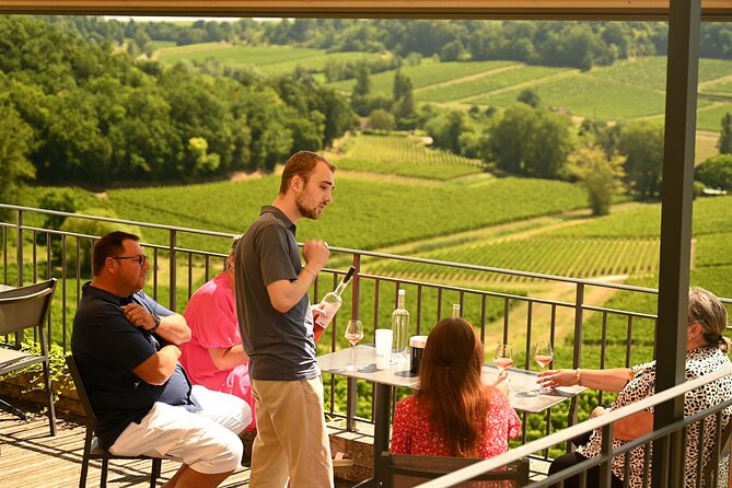 Saint-Emilion Grand Cru Classé: Gourmet Visit in English - Guided Wine Tasting: Exploring Three Distinct Wines