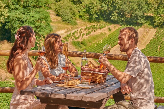 Saint-Emilion Grand Cru Classé: Picnic & Visit in English - An Authentic Wine and Picnic Tour in Saint-Emilion’s Grand Cru Classé Wineries