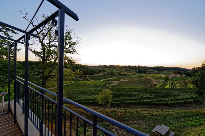Saint-Emilion Grand Cru Classé: Picnic & Visit in English - Picnic in the Heart of the Vineyards