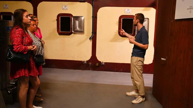 Saint-Émilion: Grand Cru Classé Winery Visit and Tasting - Exploring the Traditional Saint-Émilion Winery