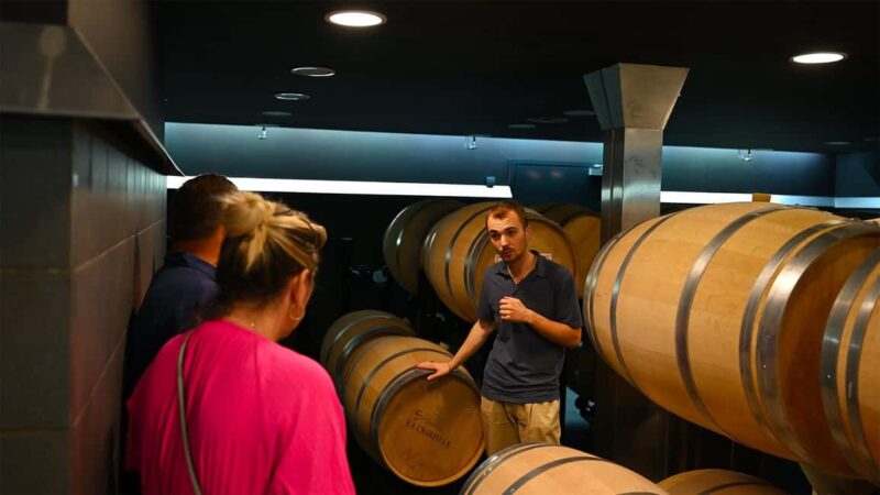 Saint-Émilion: Grand Cru Classé Winery Visit and Tasting - Visiting Saint-Émilion’s Grand Cru Wineries: Who Will Love This Tour?