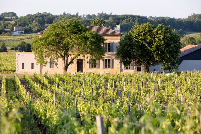 Saint Emilion Half-Day Trip with Wine Tasting & Winery Visit from Bordeaux - Who Would Most Enjoy This Tour?