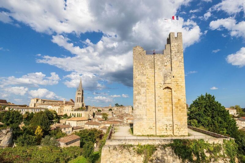 Saint-Emilion : half-day wine-tour into classified estates - Who Should Consider Booking This Tour?