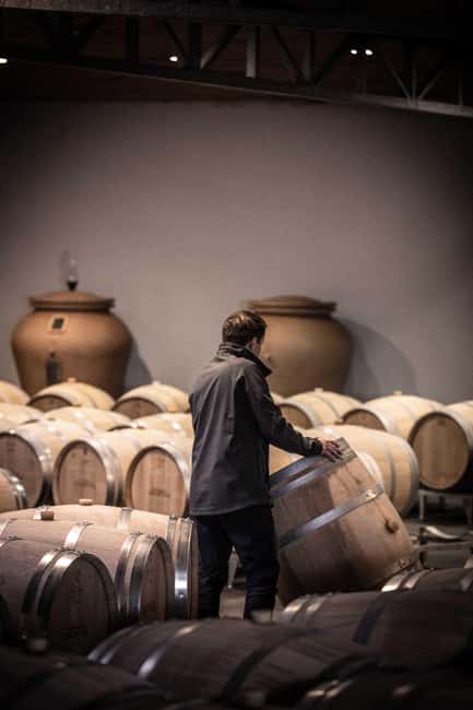 Saint-Émilion: Origin Tour - Tasting of 5 wines - Sampling Wines Straight from the Barrel and Amphora