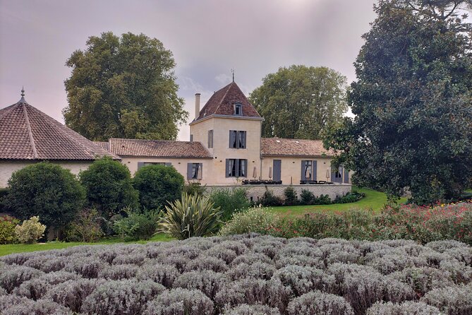 Saint-Emilion Private tour - Grand Cru Classé with an expert - Final Thoughts on the Saint-Emilion Private Tour
