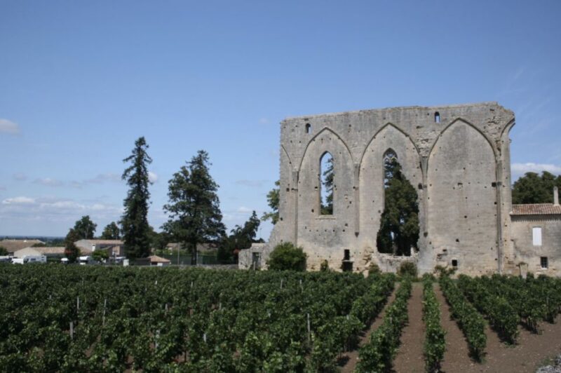 Saint-Émilion: Private Walking Tour & Magnificent Views - Logistics: Where and How You Meet