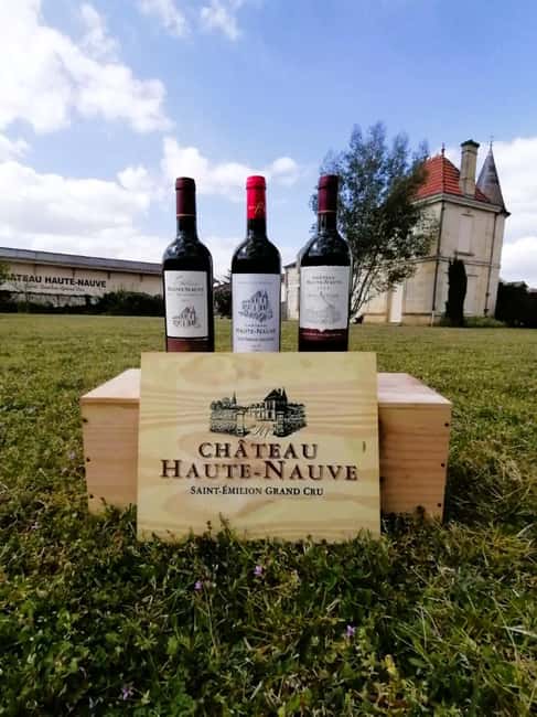 Saint-Emilion : Tasting of 4 wines in a family vineyard - Key Points