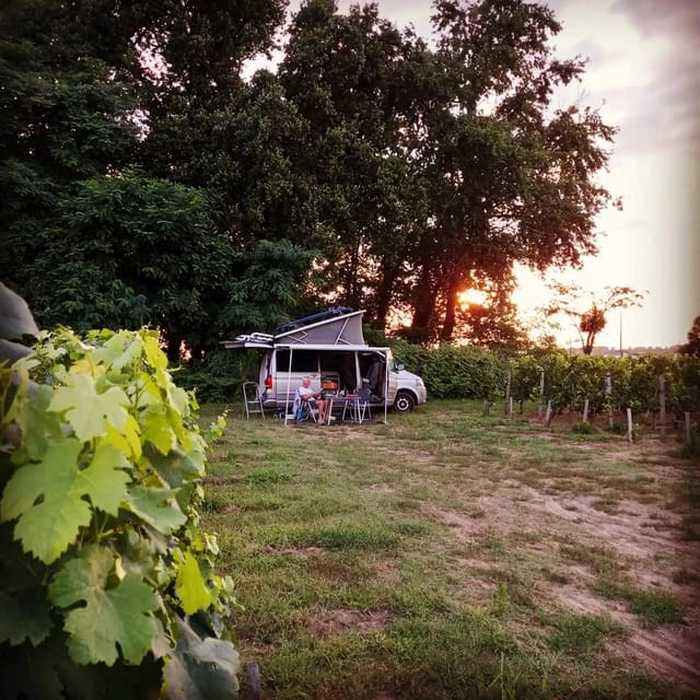 Saint-Emilion : Tasting of 4 wines in a family vineyard - Practical Details: Location, Accessibility, and Group Size