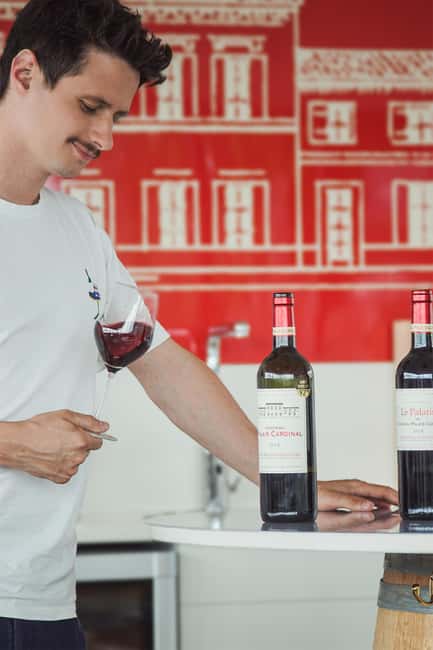 Saint-Émilion: vineyard tour, tasting & VR harvest immersion - Key Points