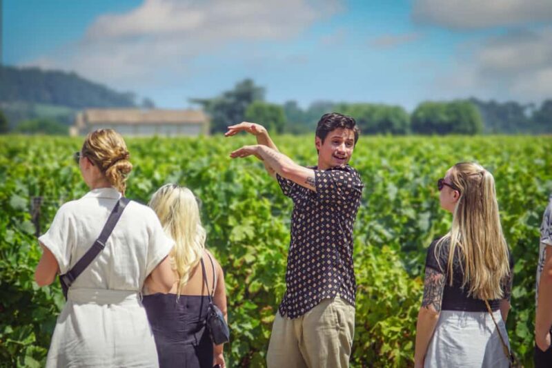 Saint-Émilion: vineyard tour, tasting & VR harvest immersion - Guided Tasting of Three Iconic Wines