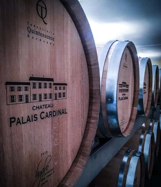 Saint-Émilion: vineyard tour, tasting & VR harvest immersion - Comparing This Tour to Other Saint-Émilion Experiences