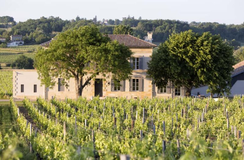 Saint-Emilion: Visit a family-run organic vineyard - Comparing Château Grangey with Other Saint-Emilion Experiences