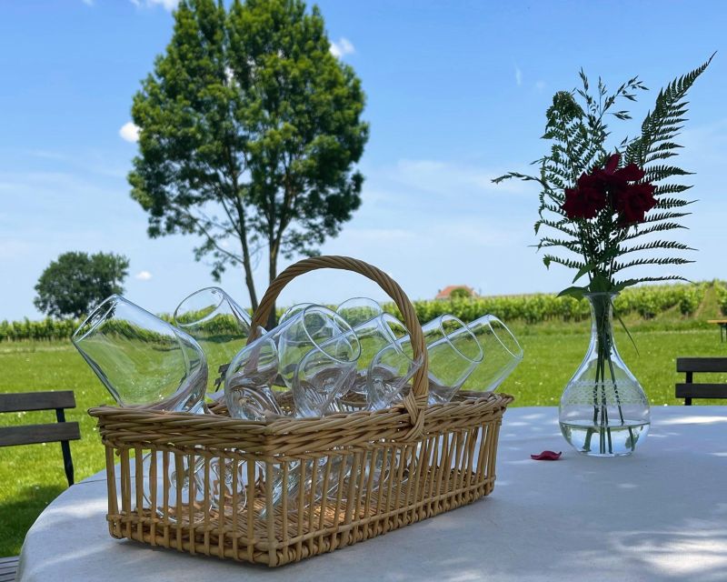 Saint-Emilion: Wine Region Tour w/ Wine Tasting & Aperitifs - Highlights and Common Praise