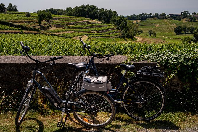 Saint-Émilion Wine Tour By Premium Electric Bike, Lunch Included - Key Points