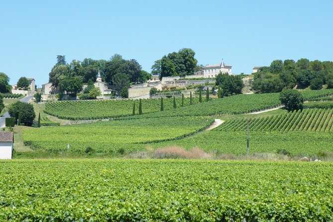 Saint Emilion Wine Tour Tasting Half Day from Bordeaux - Starting Point and Transportation Logistics