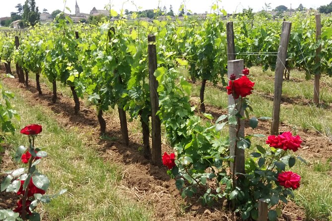 Saint Emilion Wine Tour Tasting Half Day from Bordeaux - Walking Through the Medieval Village of Saint-Émilion