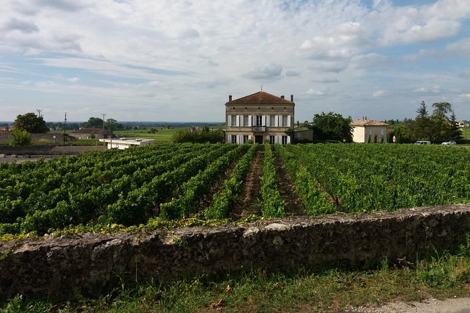 Saint Emilion Wine Tour Tasting Half Day from Bordeaux - The Guide: Knowledgeable and Approachable