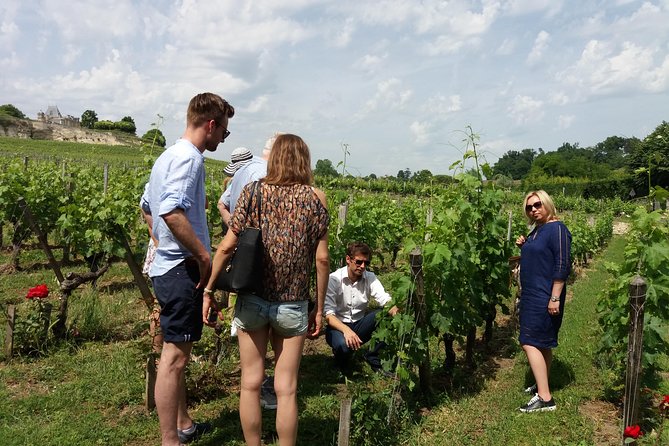 Saint Emilion Wine Tour Tasting Half Day from Bordeaux - The Experience’s Strengths