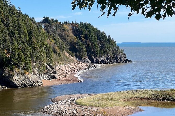 Saint John (NB) Bay of Fundy and Hopewell Rocks Private Tour - Exploring Hopewell Rocks: Walking the Ocean Floor