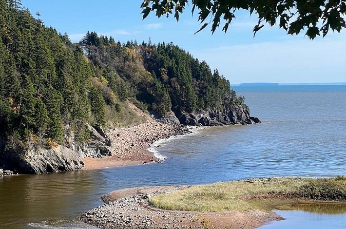 Saint John (NB) Bay of Fundy and Hopewell Rocks Private Tour - Physical Requirements and Accessibility
