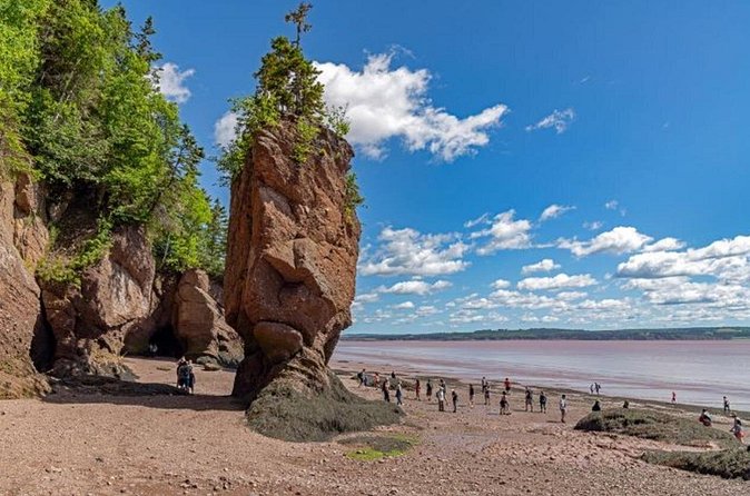 Saint John (NB) Bay of Fundy and Hopewell Rocks Private Tour - Value and Booking Insights