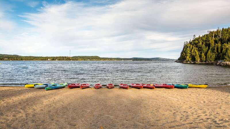 Saint John River: River Relics Kayak Tour - Key Points