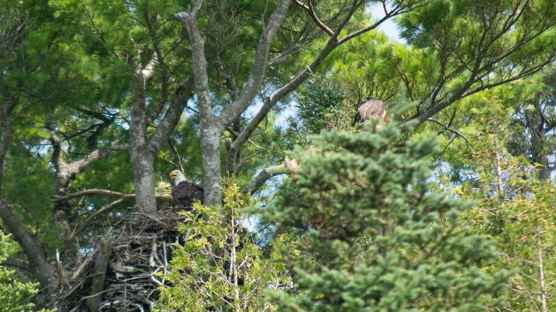 Saint John River: River Relics Kayak Tour - The Geology and Fossil Discoveries