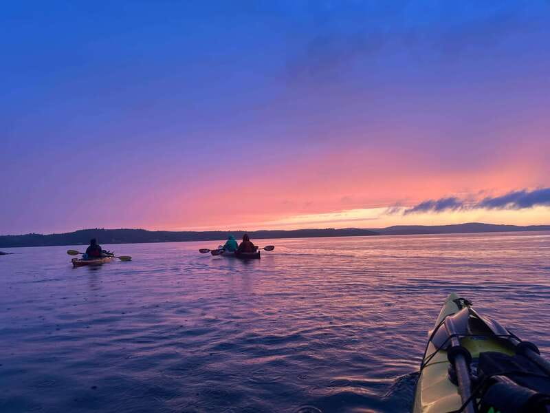Saint John River: River Relics Kayak Tour - Wildlife, Weather, and Practical Tips