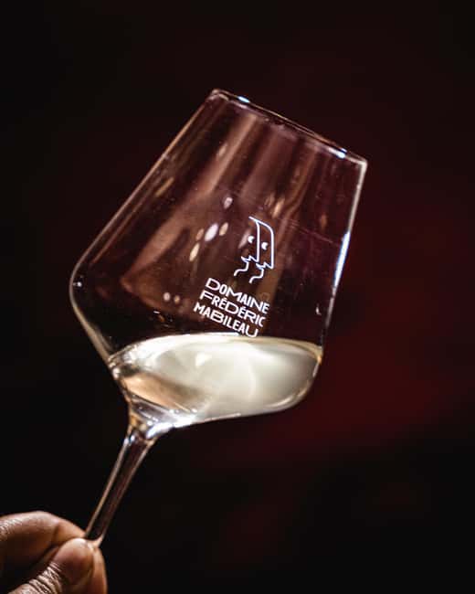 Saint-Nicolas-de-Bourgueil: Food and Wine Pairing Tour - The Guided Wine Tasting Experience