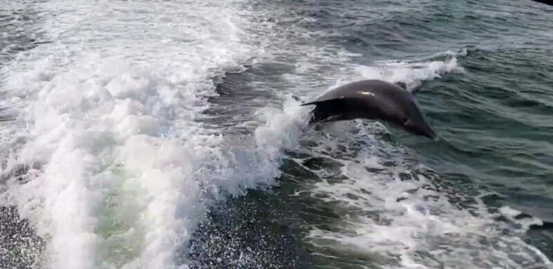 Saint Petersburg: Private Sunset Intracoastal cruise - Key Points