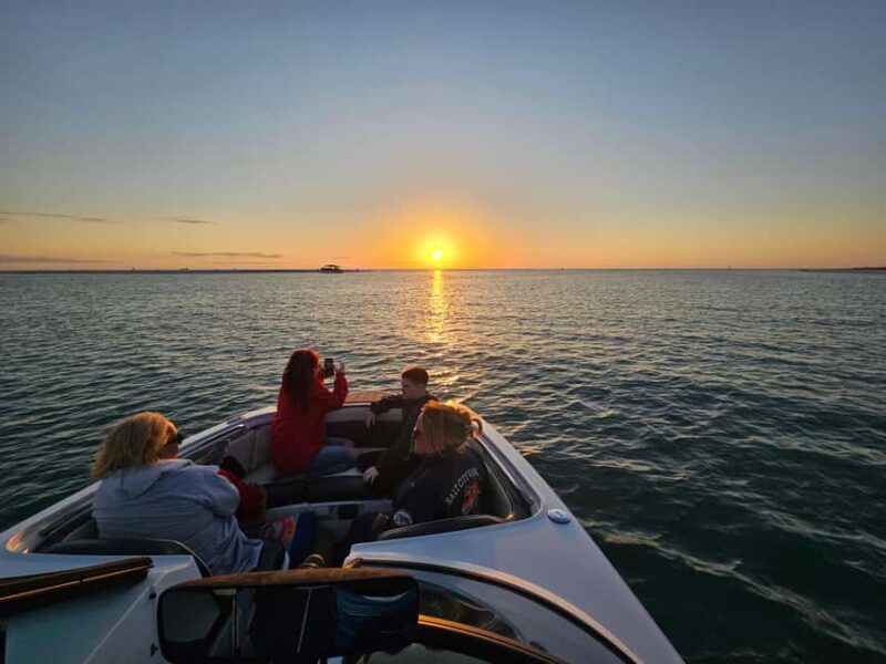 Saint Petersburg: Private Sunset Intracoastal cruise - Dolphins and Waterway Wildlife Sightings