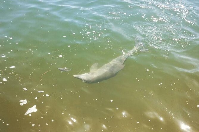 Saint Petersburg Scenic Segway Tour - Practical Aspects and Equipment Included