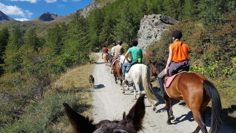 Saint-Pierre - Vetan: Guided horseback ride through the Alpine mountains - Starting Point at La Granzetta Equestrian Center