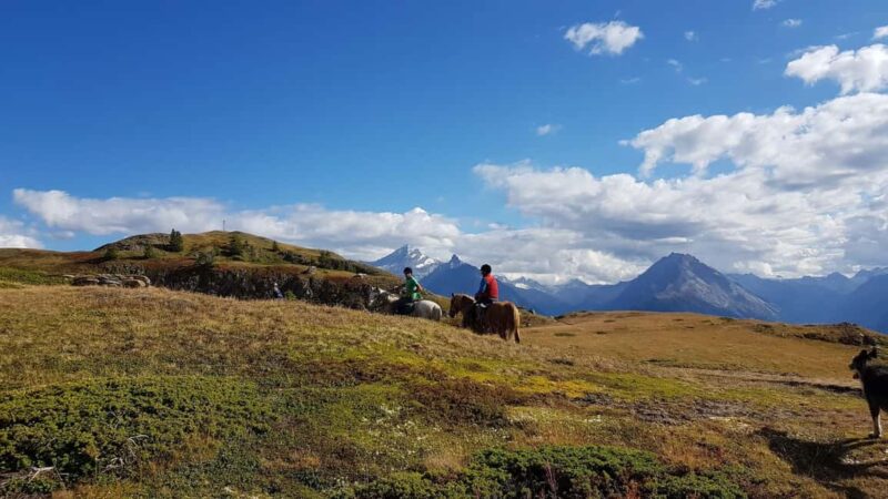 Saint-Pierre - Vetan: Guided horseback ride through the Alpine mountains - Equine Companions and Horse Handling
